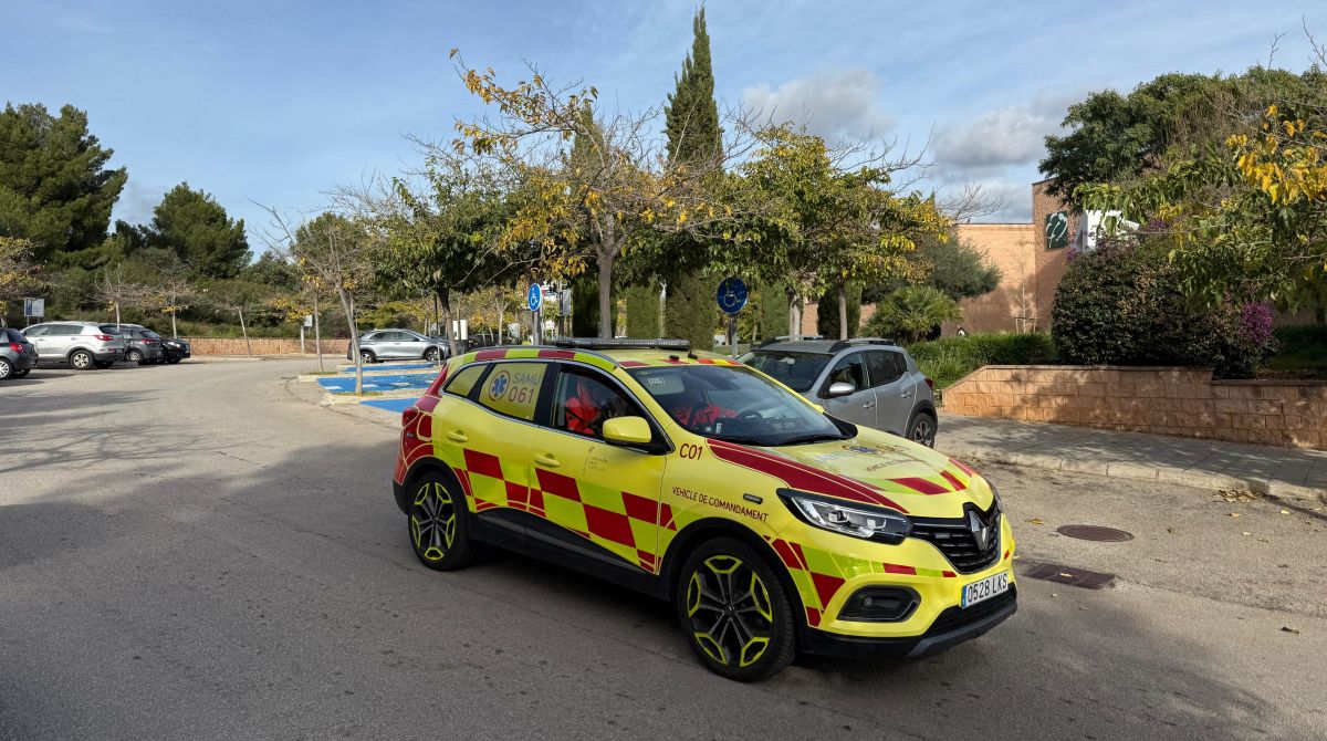 noticias palma de mallorca