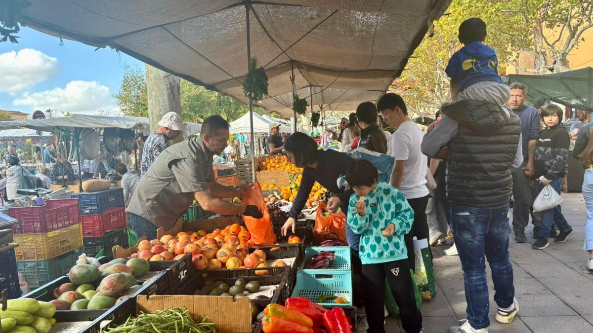 noticias palma de mallorca