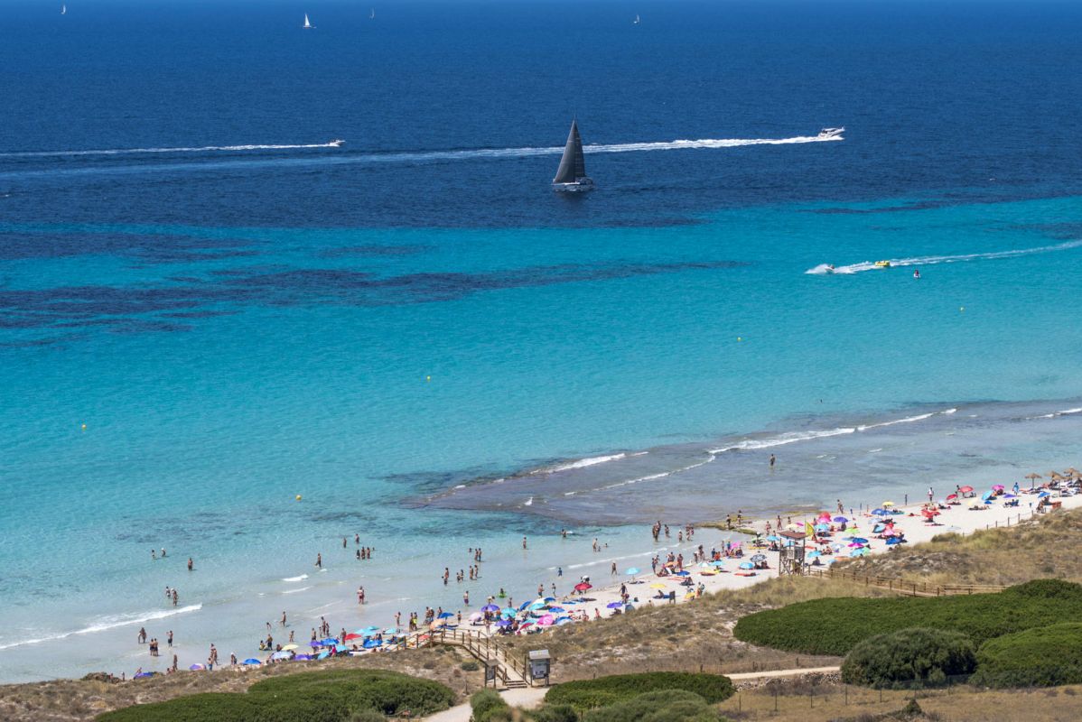noticias palma de mallorca