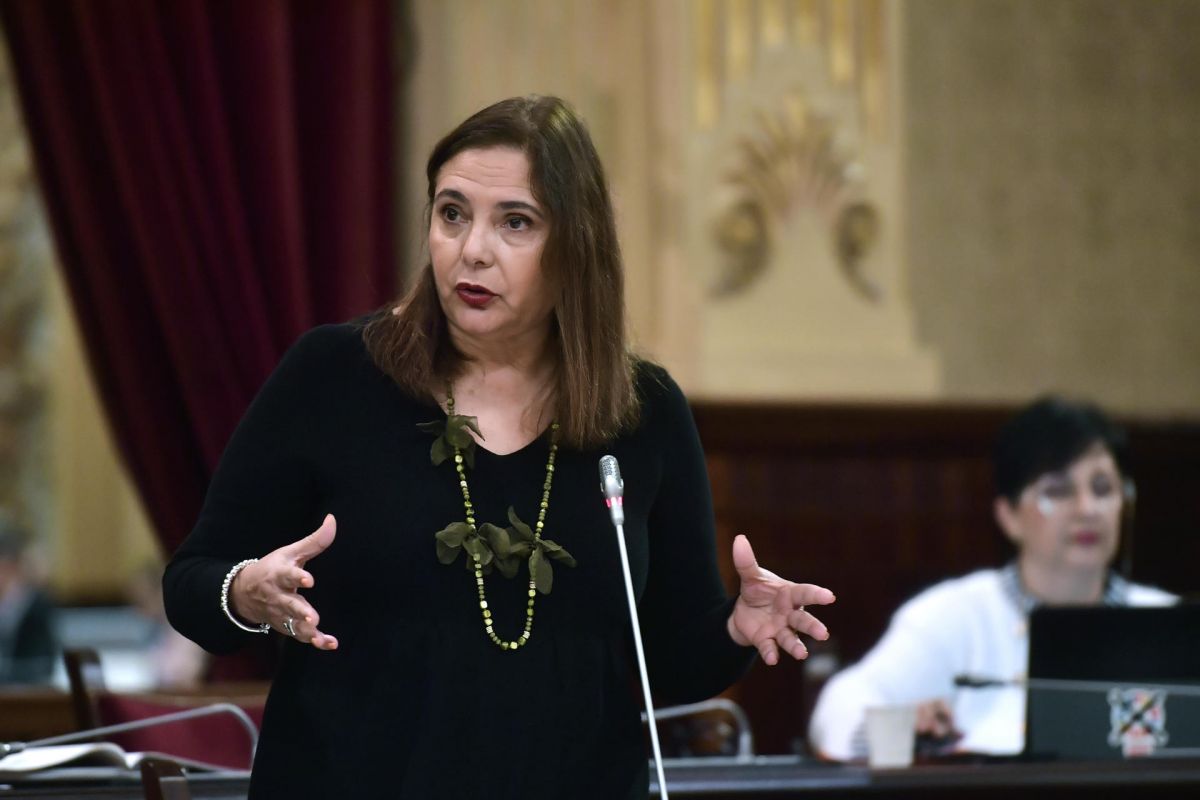 noticias palma de mallorca