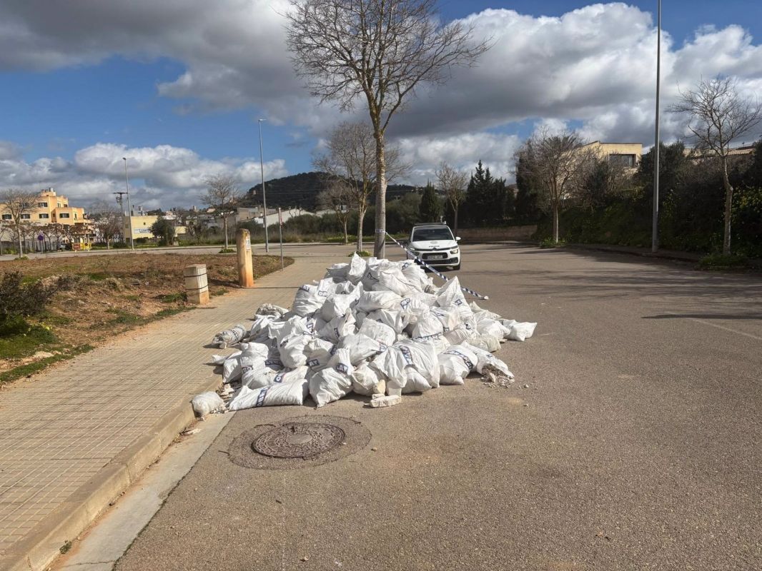 noticias palma de mallorca