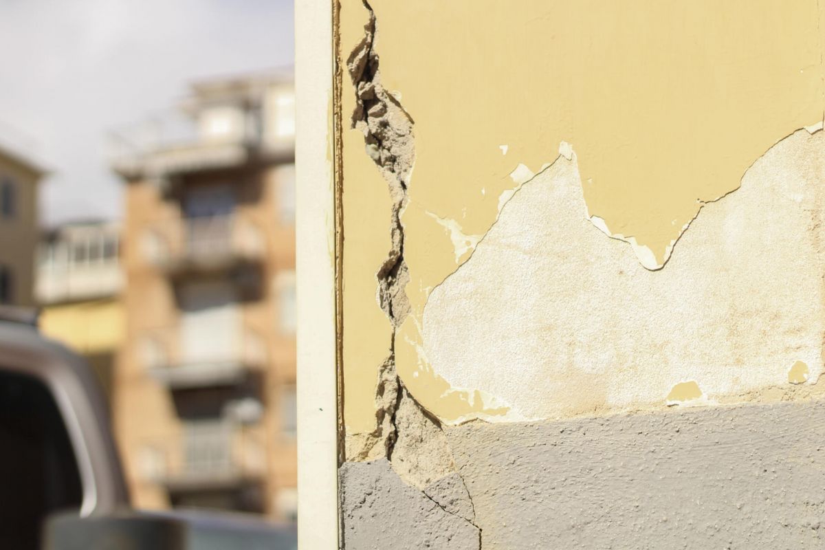 noticias palma de mallorca
