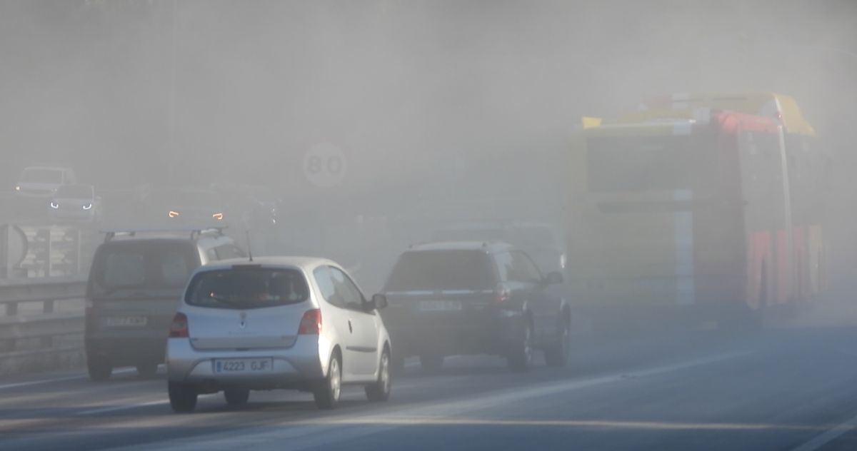 VÍDEO | Caos circulatorio en la entrada de Palma al perder un camión numerosos sacos de cemento
