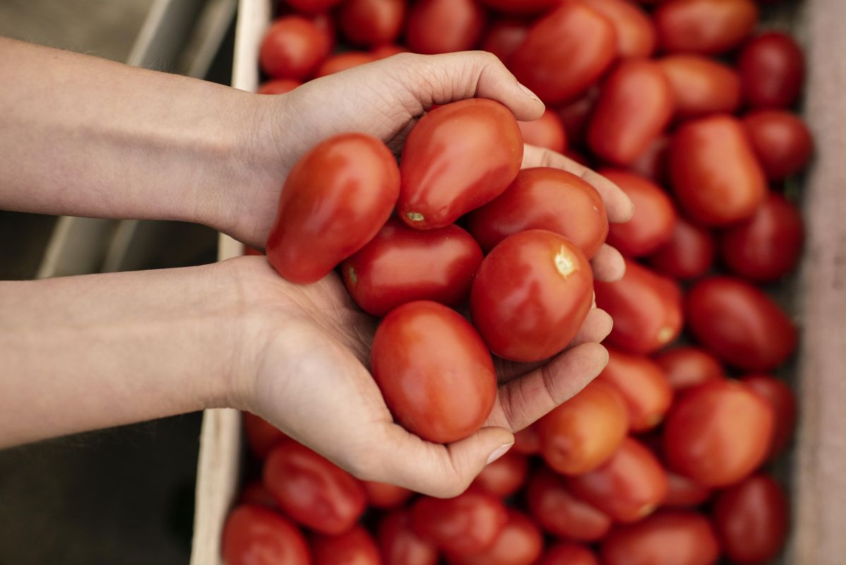 Ni nevera ni frutero: dónde conservar los tomates para que duren más