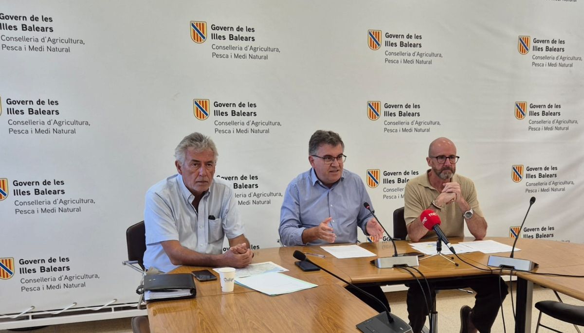 El Govern declara Mallorca zona de restricción por el serotipo 3 de lengua azul