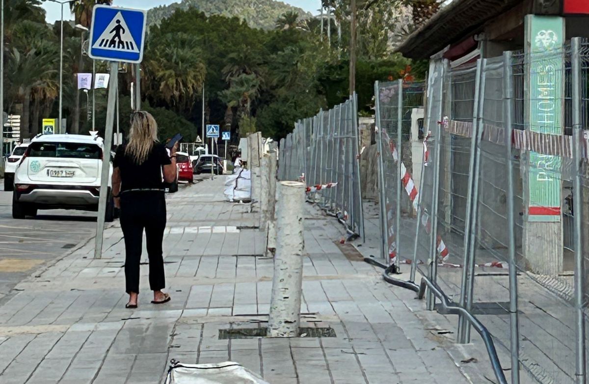 Denuncian la tala indiscriminada de 60 árboles en Calvià