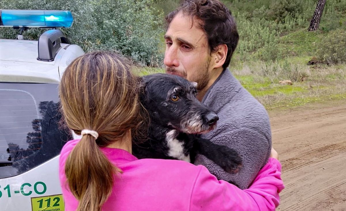 Rescatan a ‘Boro’, el perro perdido tras el accidente de trenes de Adamuz