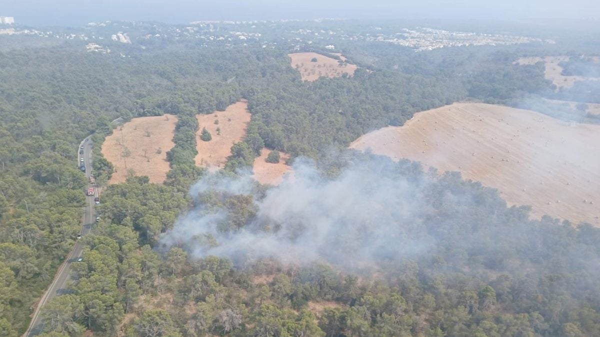 Un incendio forestal moviliza a medios aéreos y terrestres en cala Murada