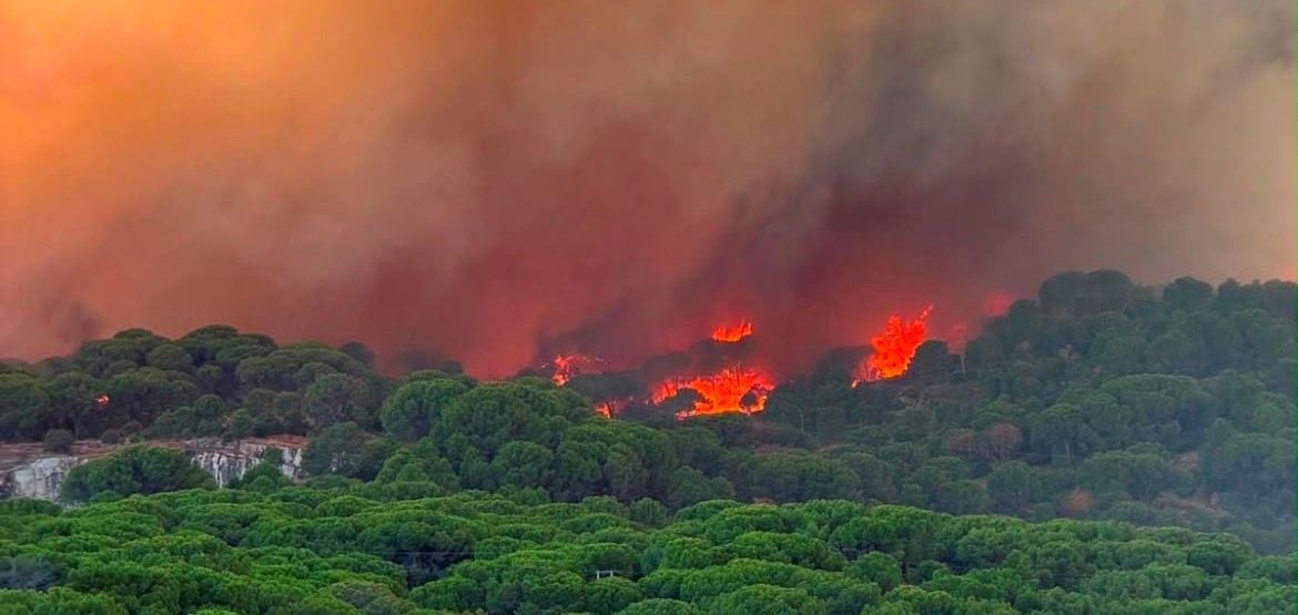El incendio de Ávila rompe récords con 50.000 hectáreas y se convierte en el mayor de la historia de España