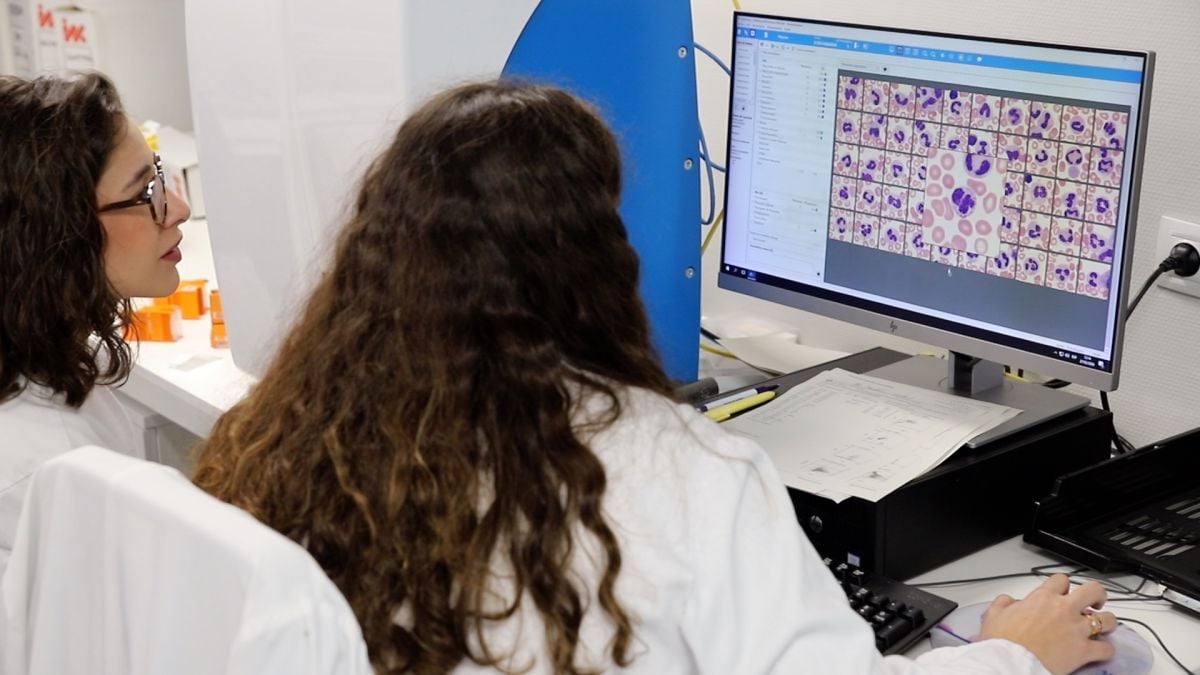 Son Espases realizó 78 trasplantes de médula ósea en 2025, un 28% más que el año anterior