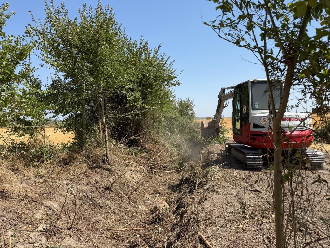 Iniciados los trabajos de limpieza y mantenimiento del torrente de Son Vent, en Sant Joan