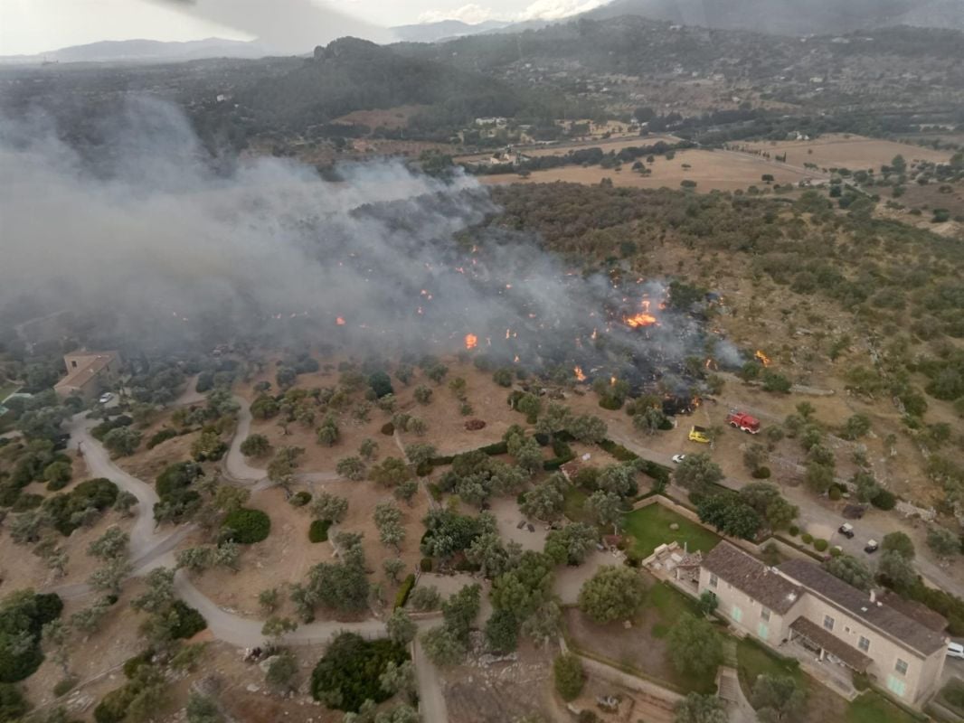 Estable el incendio forestal declarado entre Alaró y Consell
