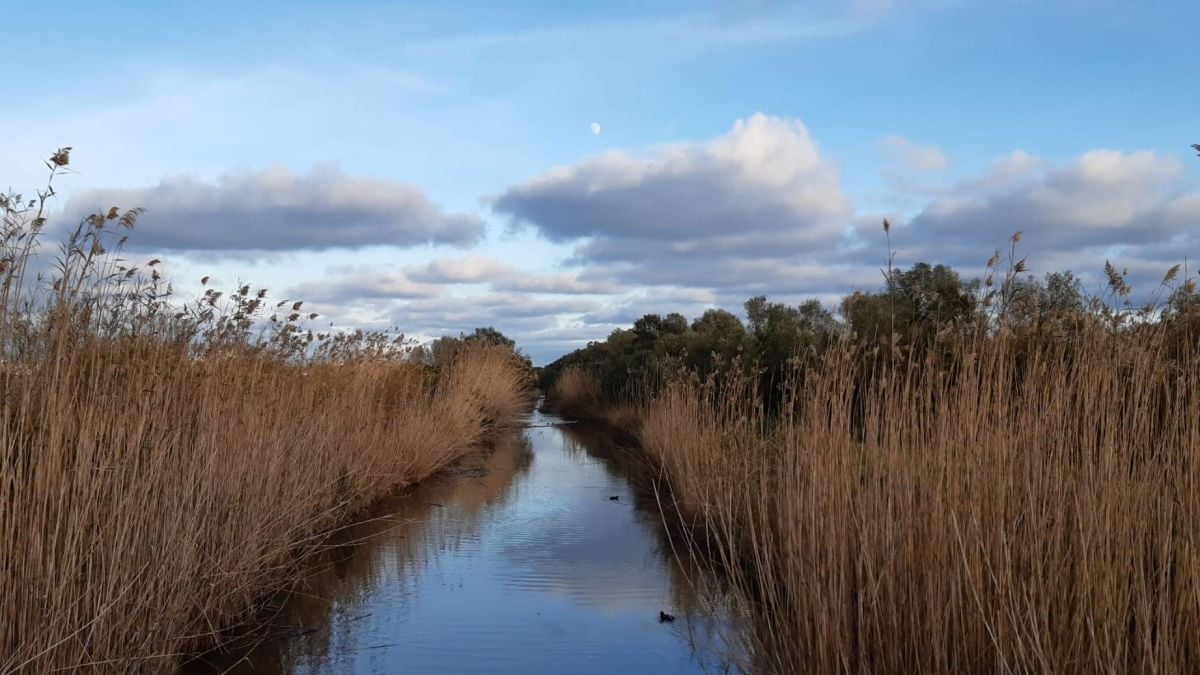 Cierra durante seis días el Parque Natural de s’Albufera de Mallorca: estas son las fechas