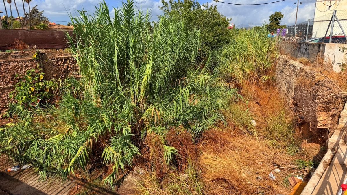Vecinos de Palma alertan del estado de los torrentes ante la época de lluvias torrenciales