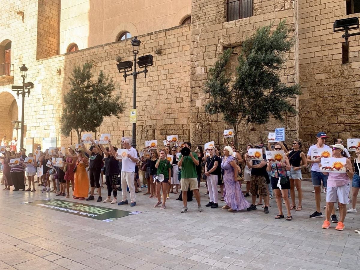 Decenas de personas exigen a Cort el fin de las calesas de caballos en Palma